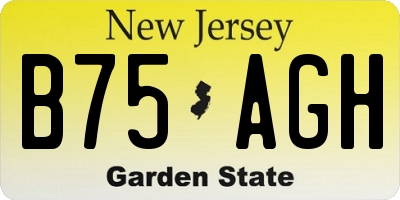 NJ license plate B75AGH