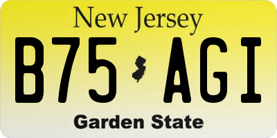 NJ license plate B75AGI