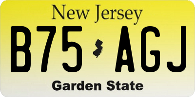 NJ license plate B75AGJ