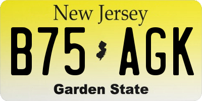 NJ license plate B75AGK