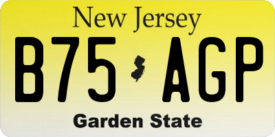 NJ license plate B75AGP