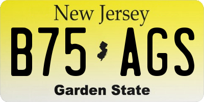 NJ license plate B75AGS