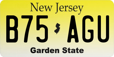 NJ license plate B75AGU