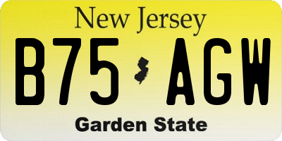 NJ license plate B75AGW