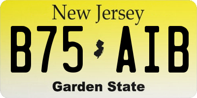 NJ license plate B75AIB