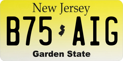 NJ license plate B75AIG