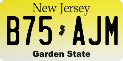 NJ license plate B75AJM