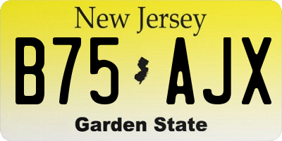 NJ license plate B75AJX