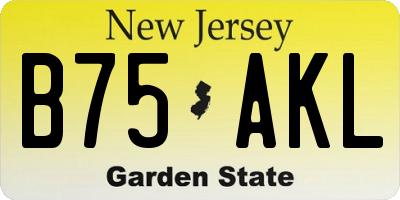 NJ license plate B75AKL