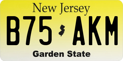 NJ license plate B75AKM