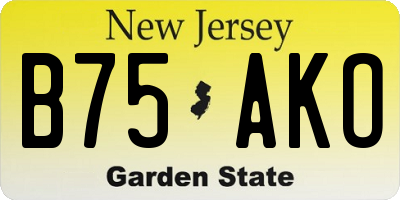 NJ license plate B75AKO