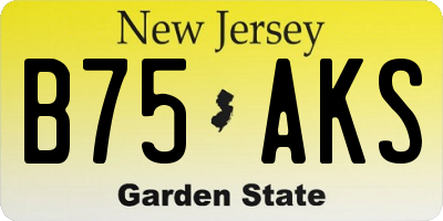 NJ license plate B75AKS
