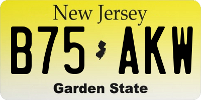 NJ license plate B75AKW
