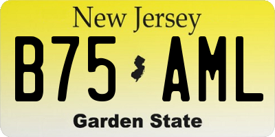 NJ license plate B75AML
