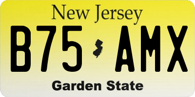 NJ license plate B75AMX