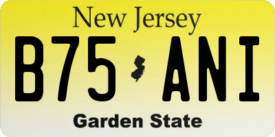 NJ license plate B75ANI