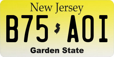 NJ license plate B75AOI
