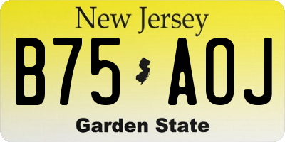 NJ license plate B75AOJ