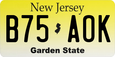 NJ license plate B75AOK