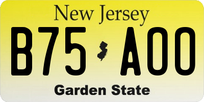 NJ license plate B75AOO