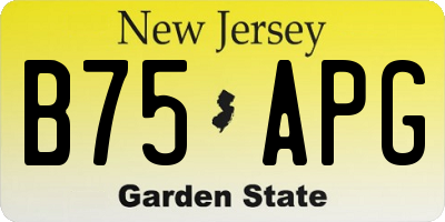 NJ license plate B75APG