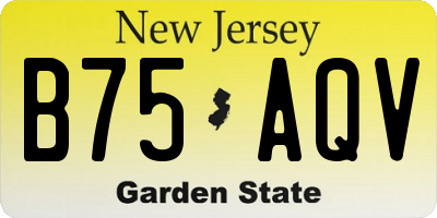 NJ license plate B75AQV