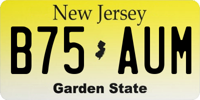 NJ license plate B75AUM