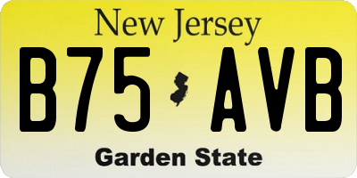 NJ license plate B75AVB