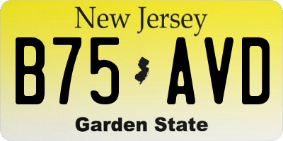 NJ license plate B75AVD