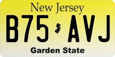 NJ license plate B75AVJ