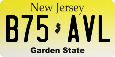 NJ license plate B75AVL