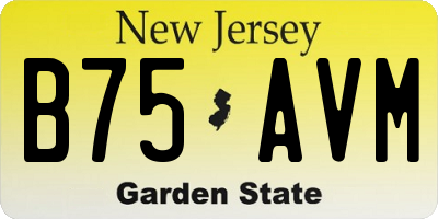 NJ license plate B75AVM