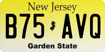 NJ license plate B75AVQ