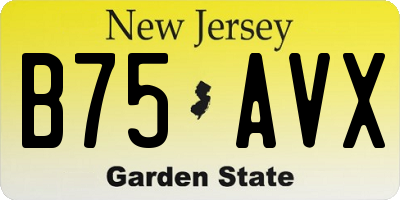 NJ license plate B75AVX