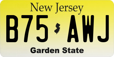 NJ license plate B75AWJ