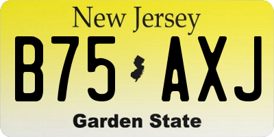 NJ license plate B75AXJ