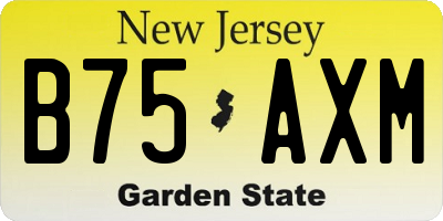 NJ license plate B75AXM