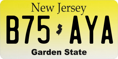 NJ license plate B75AYA