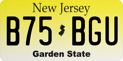 NJ license plate B75BGU
