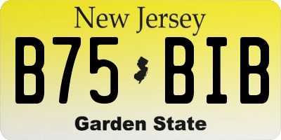 NJ license plate B75BIB