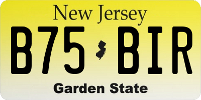 NJ license plate B75BIR