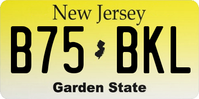 NJ license plate B75BKL