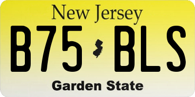 NJ license plate B75BLS