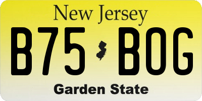 NJ license plate B75BOG