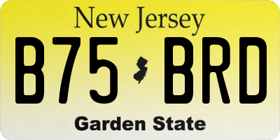 NJ license plate B75BRD