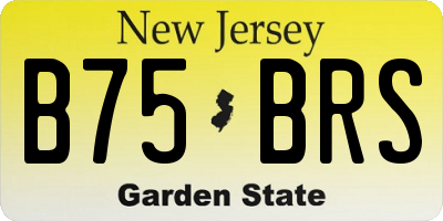 NJ license plate B75BRS
