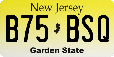 NJ license plate B75BSQ