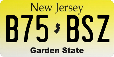 NJ license plate B75BSZ