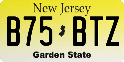 NJ license plate B75BTZ