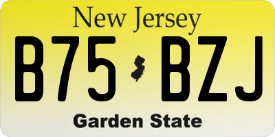 NJ license plate B75BZJ